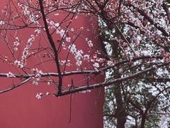 -钱王祠