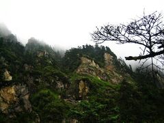 2011年-九峰山