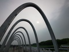 -大兴滨河森林公园