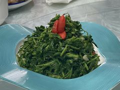 枸杞叶-小叶手抓(解放东街店)