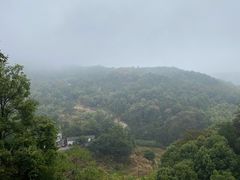 -长沙黑麋峰国家森林公园