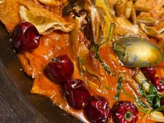 -秀儿四九城·新京菜(亚运村鸟巢店)