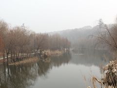 -紫霞湖公园