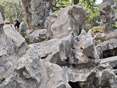 -西园戒幢律寺