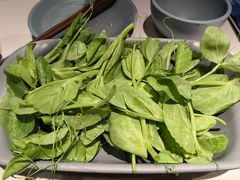 豌豆尖-小街猪手(团结湖店)