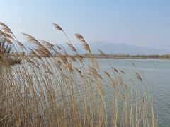 -野鸭湖国家湿地公园