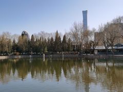 -团结湖公园