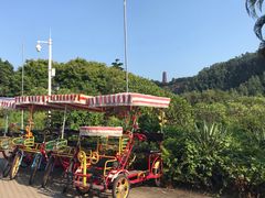 -南沙蒲洲花园
