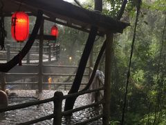 -天门沟九州驿站树上汤泉