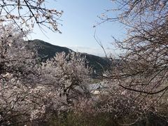 景点-中华福寿山