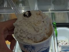 -柠檬车露(卖草地店)