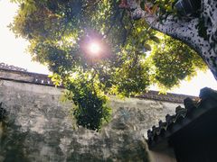 -绍兴鲁迅故里·沈园景区