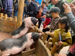 -长鹿旅游休博园