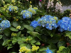 -人民公园(罗湖区)