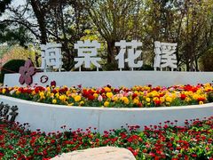 -海棠花溪(元大都城垣遗址公园)