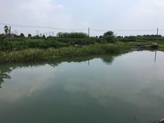 -乡乐园蟹庄·阳澄湖农家乐