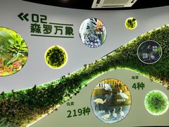 -东寨港红树林旅游区