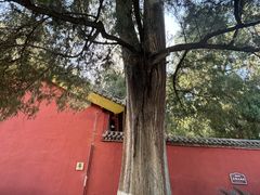 -武侯墓风景区