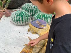 -广州长隆飞鸟乐园