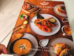 -Fern Forest Cafe