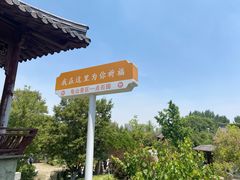 -徐州龟山景区