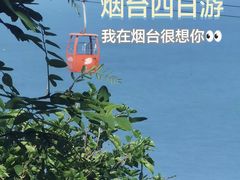 -蓬莱阁景区