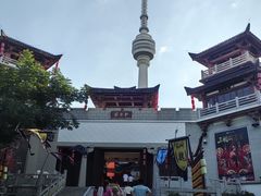 -龟山风景区-龟山电视塔