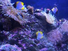 -成都浩海立方海洋公园