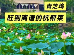 -朴墅(西湖青芝坞店·杭帮菜·家宴.14年的店)