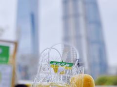 -陆家嘴中心绿地