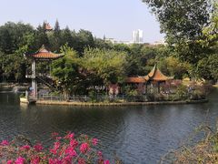 -深圳龙潭公园