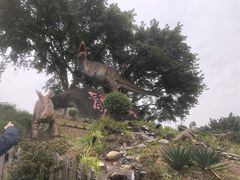 -自贡恐龙博物馆