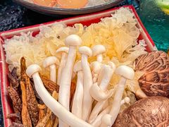 -得意咚瓜·顺德鱼生·冬瓜火锅(深圳首店)