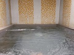 -二十一世纪饭店-游泳馆