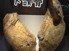 -泗洪县文化艺术中心