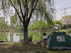 -九里河湿地公园