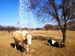 -塞罕坝国家级自然保护区