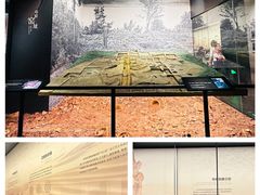 -四川大学博物馆