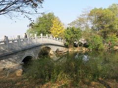 -月湖风景区