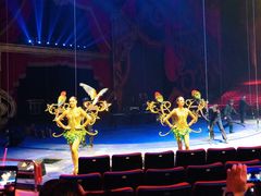 -珠海横琴长隆《卡卡虎奇遇记》