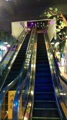 自动扶梯-卡通尼·Safari非洲探索乐园·生日会(金桥国际商业广场店)