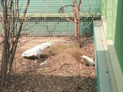 -沈阳鸟岛
