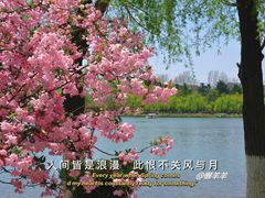 -青岛奥林匹克雕塑文化园(城阳世纪公园)