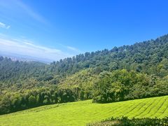 -敬亭山风景名胜区