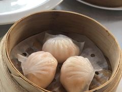 喜粤虾饺皇-喜粤8号(四海唐人街店)