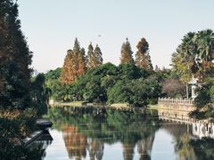 -江心屿景区