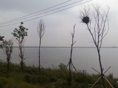 -呼兰河口湿地公园