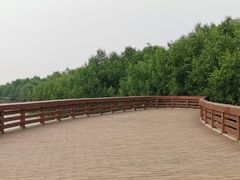 -宝安西湾红树林湿地公园