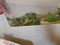 -正阳春烤鸭店(杨楼店)