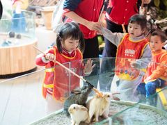 -全优加早教托育园(广百新一城店)